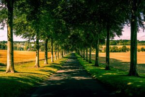 nick-fewings-pACsqyyy83M-unsplash