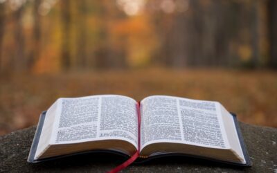 Growing Men through the Public Reading of Scripture