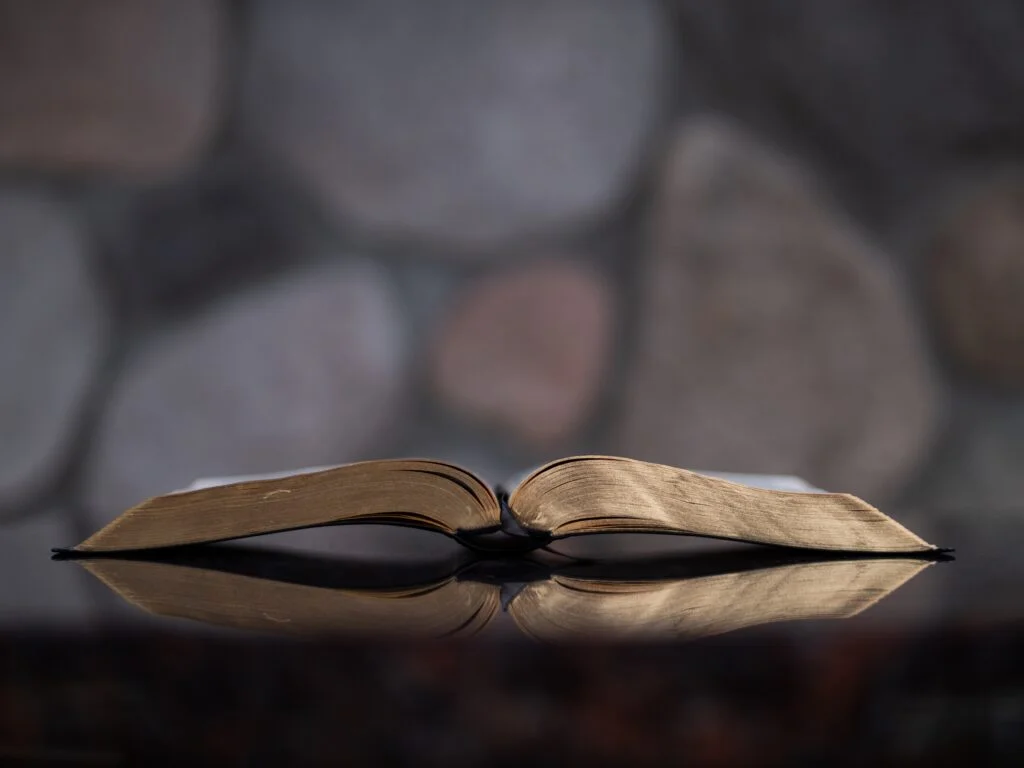 aaron-burden-pCfJKUB5bes-unsplash