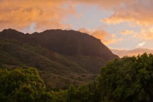 jason-drumm-YzLEAbwJPD8-unsplash(1)