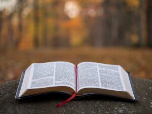 aaron-burden-9zsHNt5OpqE-unsplash(1)