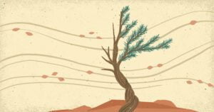 social-media-discipling-you