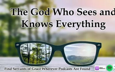 The God Who Sees and Knows Everything