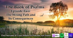 TheWrongPathandItsConsequences