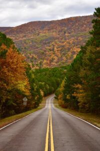 brendan-steeves-G-YAJ61qIuU-unsplash