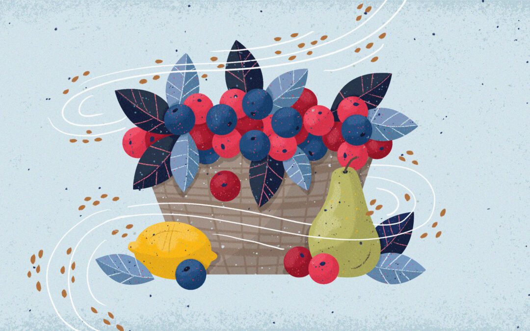 Blog 15 How the Holy Spirit Beautifies the Church