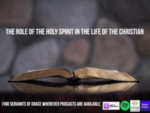 The Role of the Holy Spirit in the Life of the Christian
