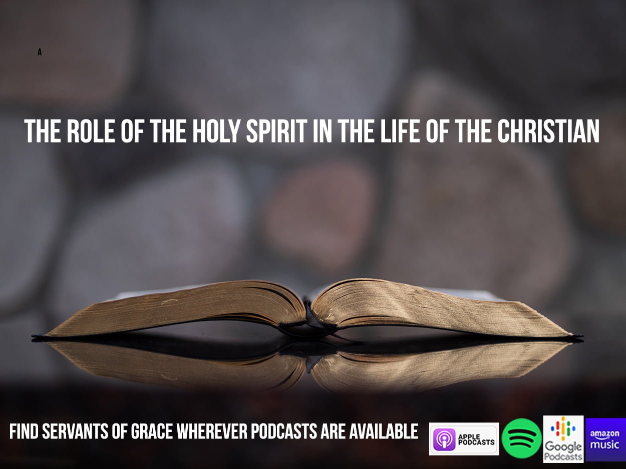 The Role of the Holy Spirit in the Life of the Christian 22