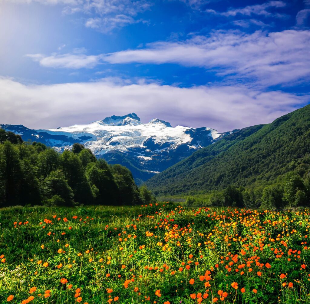 hector-ramon-perez-sjAtGCs6VXs-unsplash