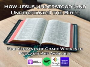 How Jesus Understood (and Understands) the Bible