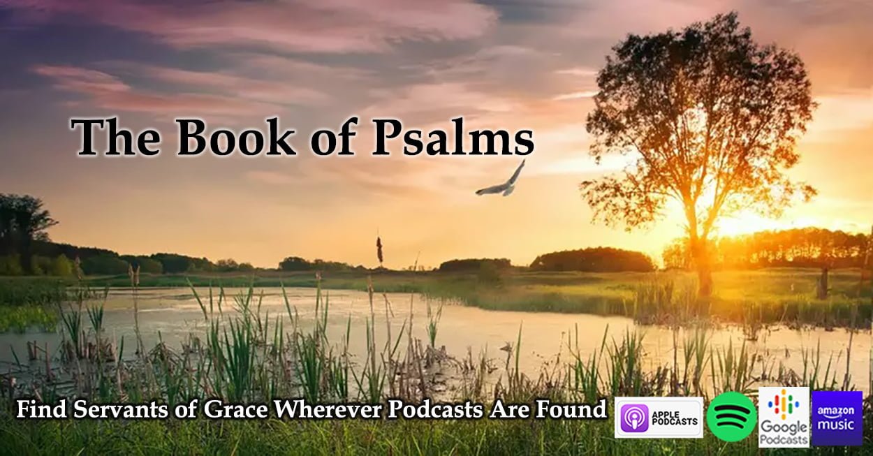 Servants of Grace Sermons 7