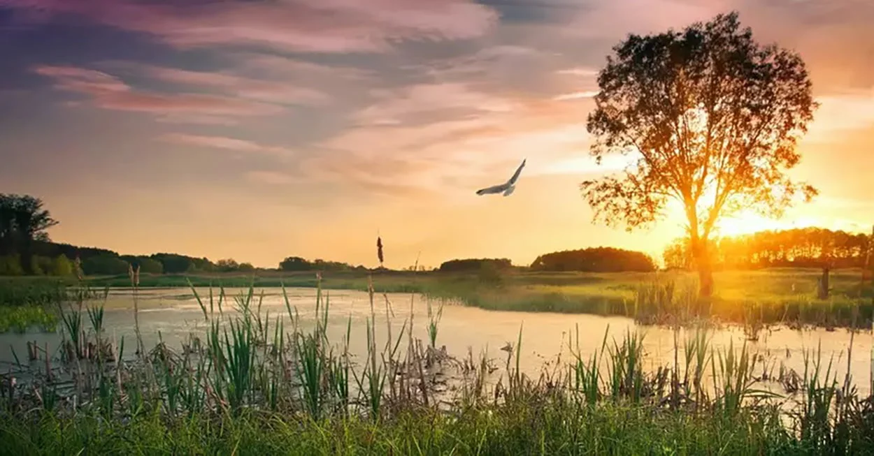 psalmsgraphictemplate