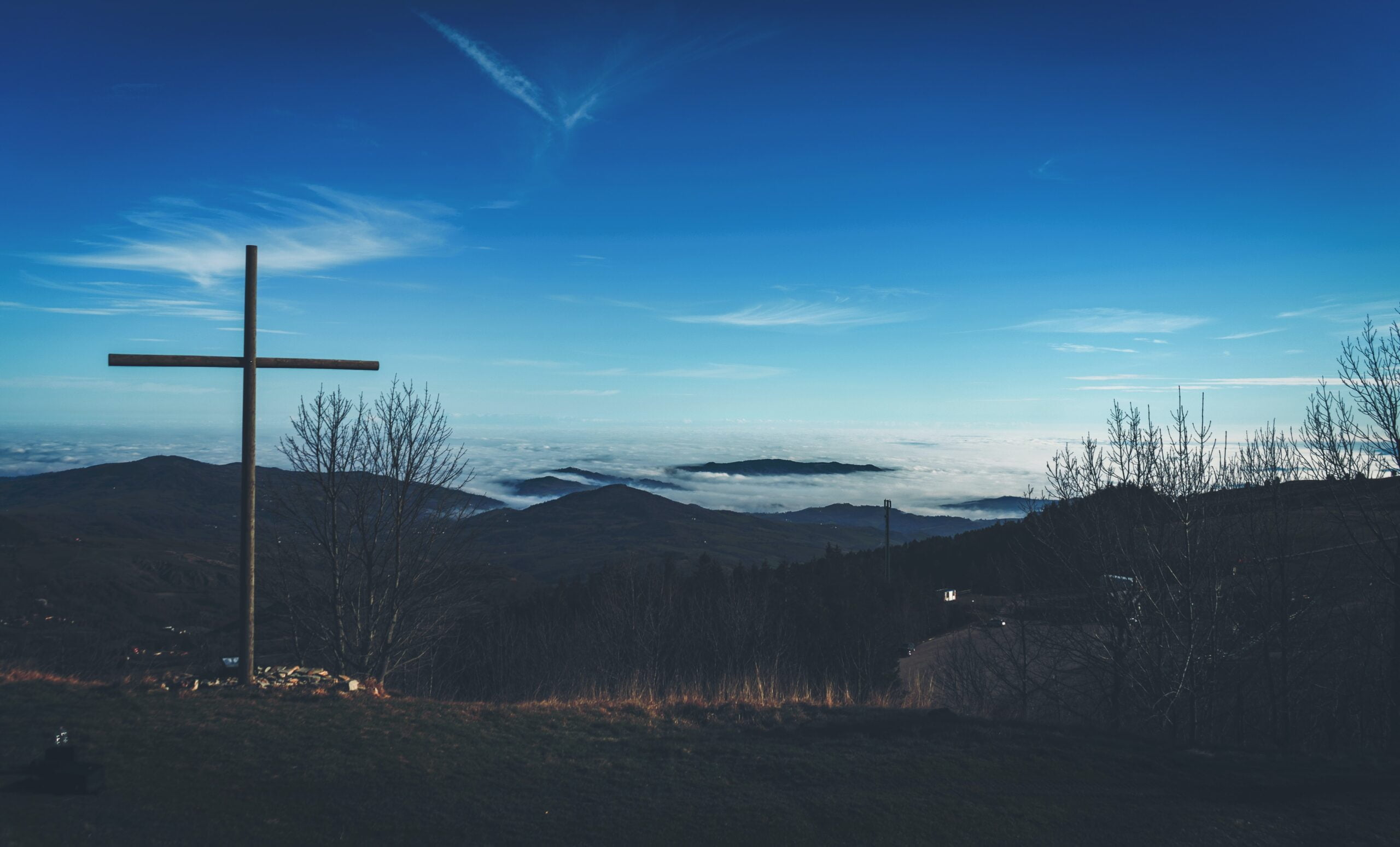 nicola-sagliocco-joE5cux7qgU-unsplash (1)
