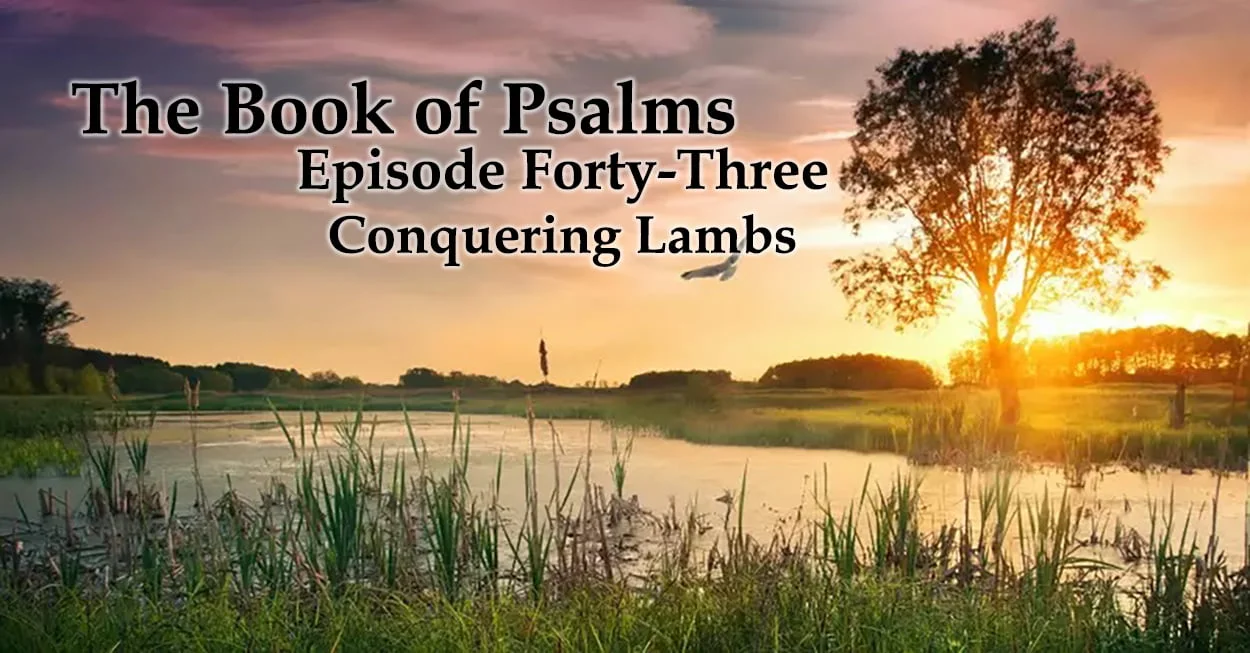 Conquering Lambs