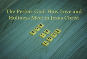 The Perfect God How Love and Holiness Meet in Jesus Christ