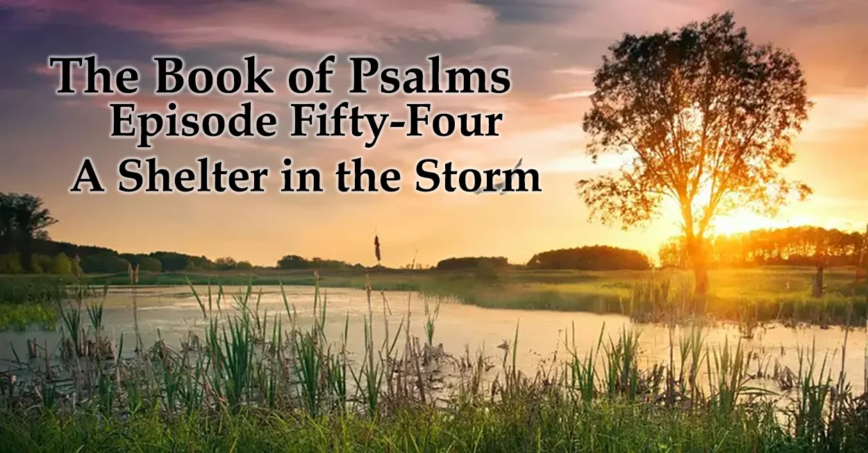 A Shelter in the Storm