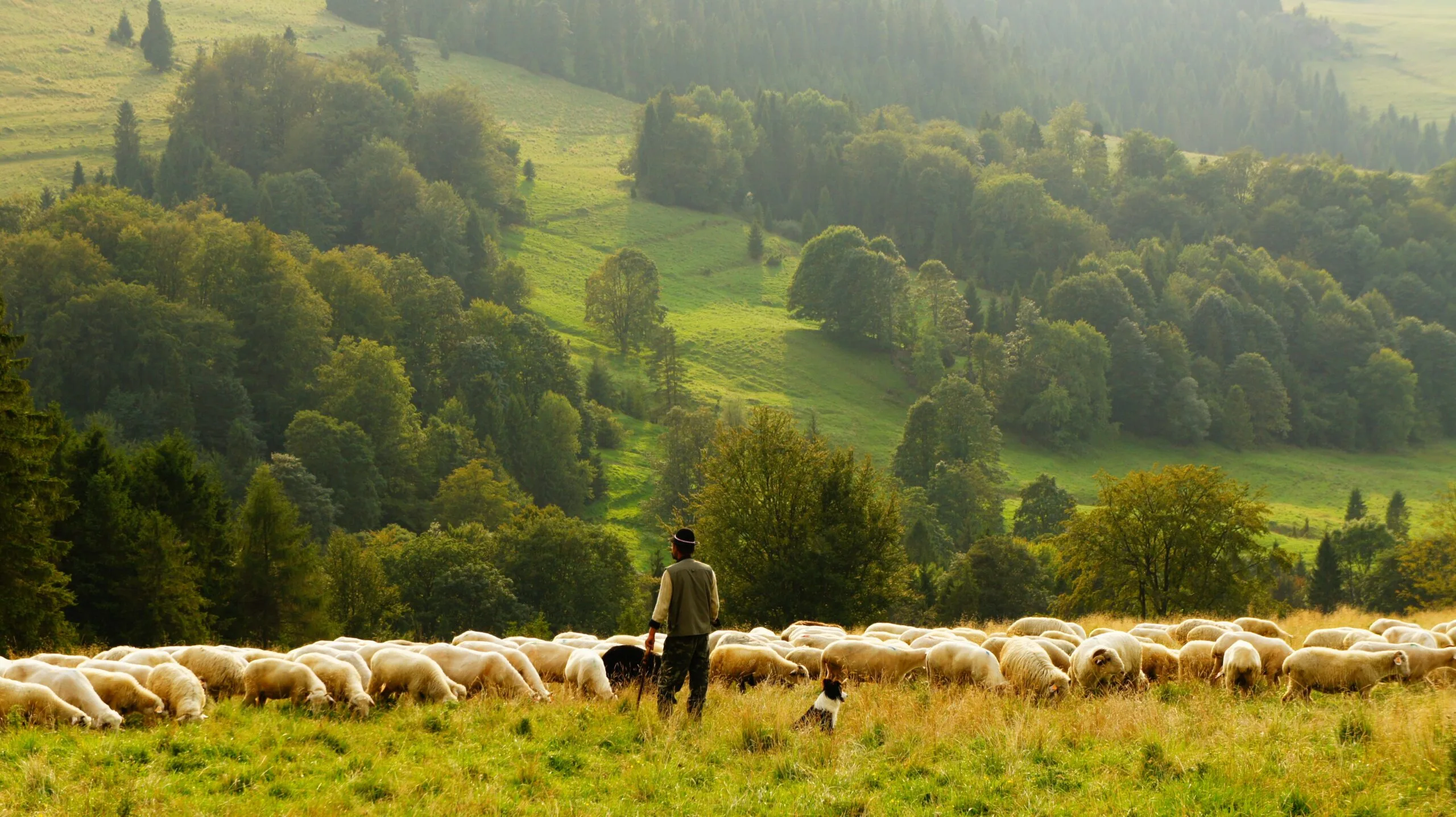 biegun-wschodni-vD3L-rN_qNw-unsplash