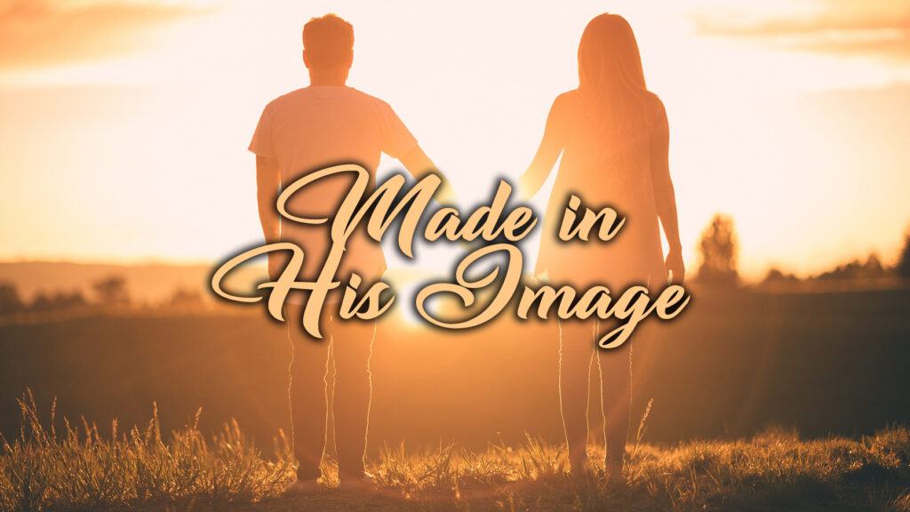 Made in His Image 1 Made in His Image 1