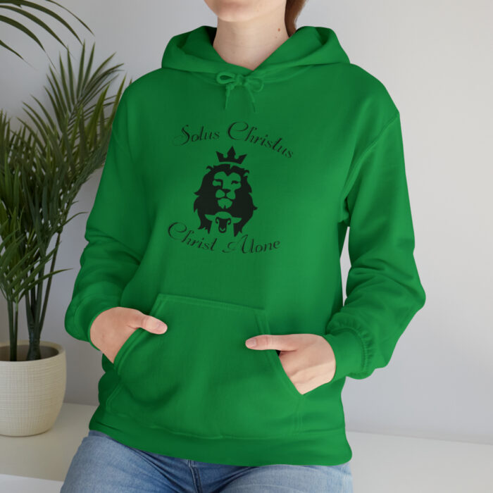 Solus Christus Unisex Heavy Blend™ Hooded Sweatshirt - Image 65