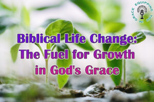 Biblical Life Change the fuel for growth in godsgrace