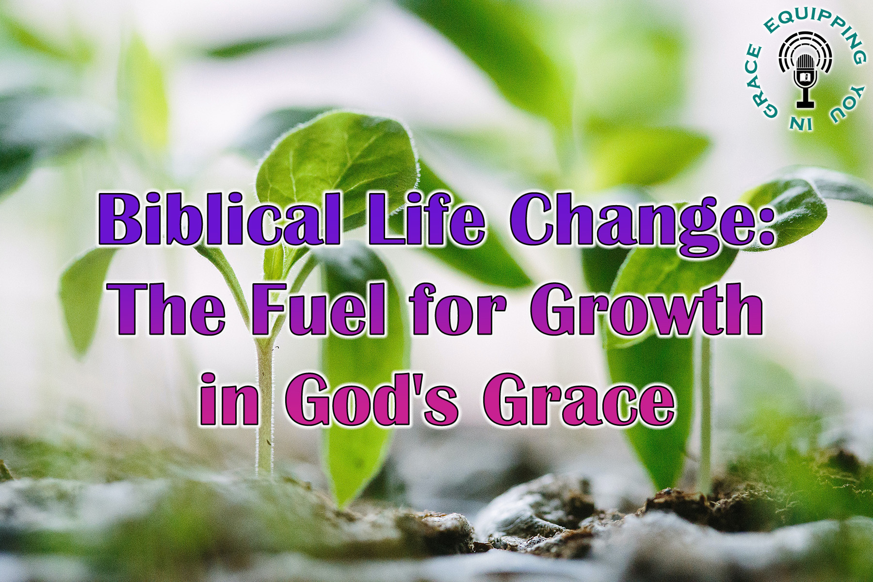 Equipping You in Grace 138