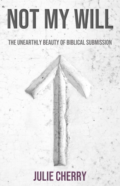 Not My Will: The Unearthly Beauty of Biblical Submission