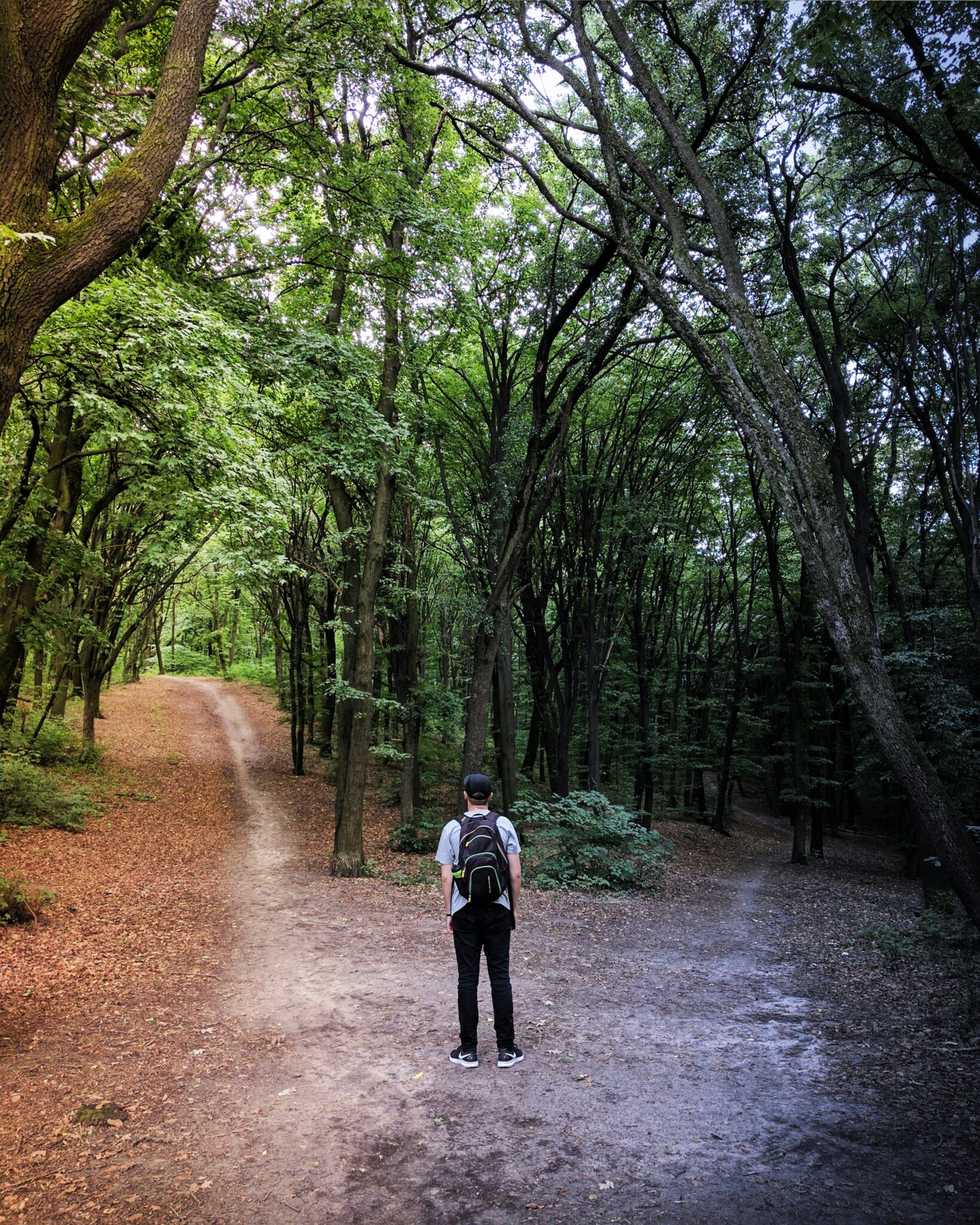 The Role of the Holy Spirit in Decision-Making