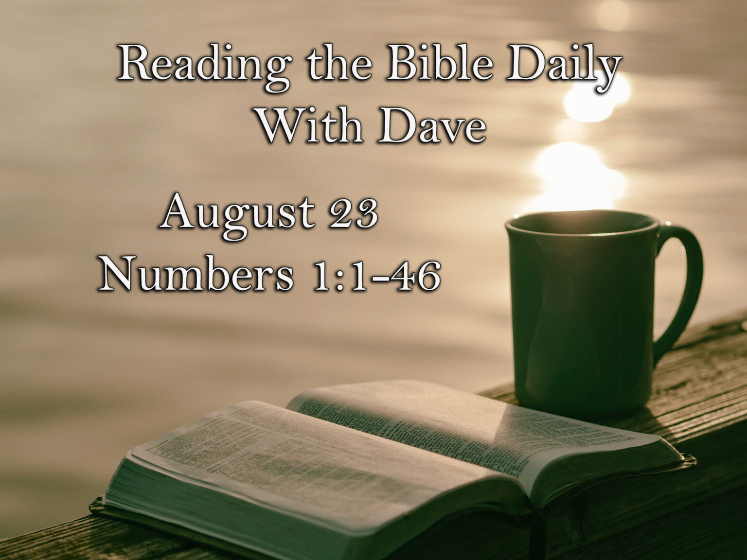 Reading the Bible Daily with Dave: August 23 Numbers 1:1-46