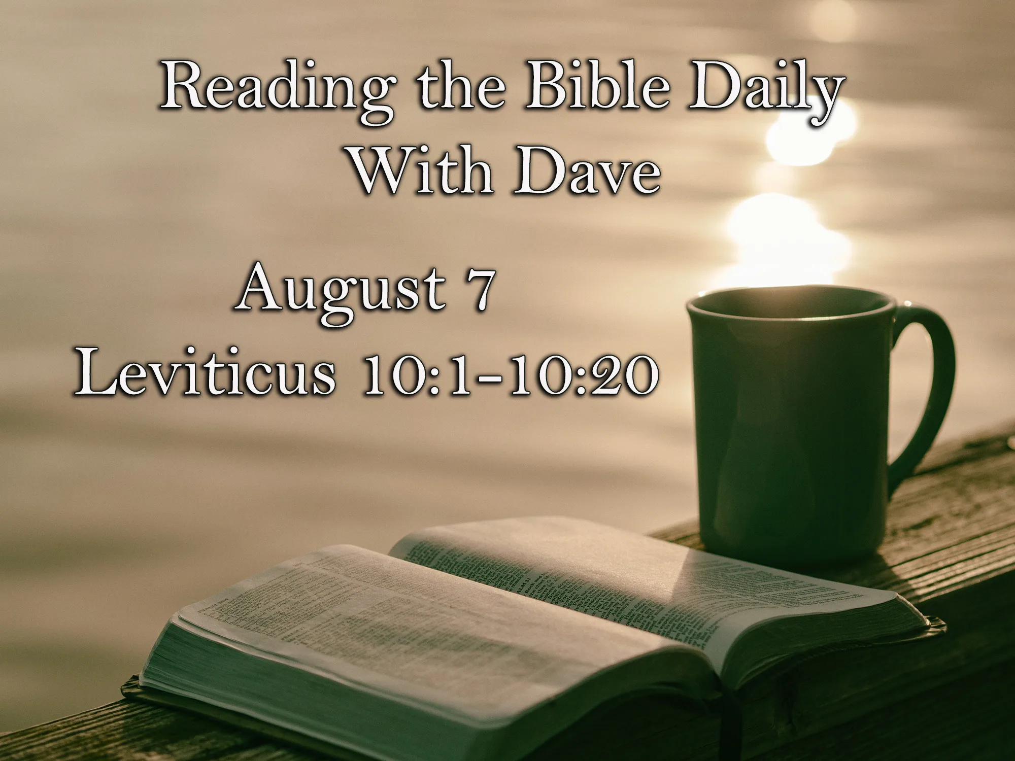August7LEVITICUS10120