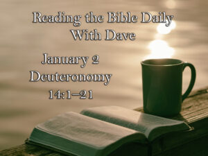 Reading the Bible Daily with Dave 96 Reading the Bible Daily with Dave 95