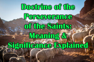 Doctrine of the Perseverance of the Saints Meaning & Significance Explained