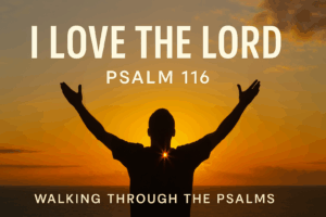 A silhouette of a person with outstretched arms standing before a glowing sunset over the ocean, symbolizing praise and gratitude to the Lord, with the text “I LOVE THE LORD – PSALM 116 – WALKING THROUGH THE PSALMS” displayed above and below.