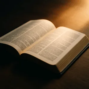 Open Bible resting on a dark wooden surface with warm golden sunlight shining across the pages, symbolizing reflection, meditation, and prayer.