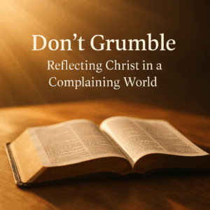 Open Bible with sunlight, representing guidance and trust in God.