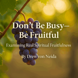 Cluster of ripe purple grapes hanging on a vine in warm golden sunlight, with overlaid text reading “Don’t Be Busy—Be Fruitful: Examining Real Spiritual Fruitfulness by Drew von Neida.