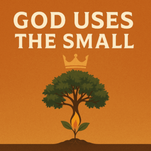 Symbol of small beginnings growing into God’s purposes from 1 Chronicles 8.