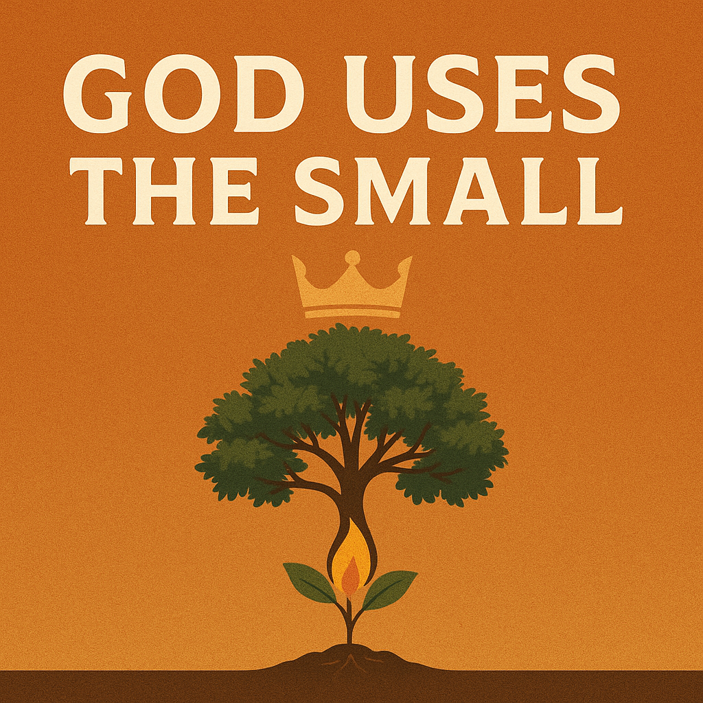 Symbol of small beginnings growing into God’s purposes from 1 Chronicles 8.