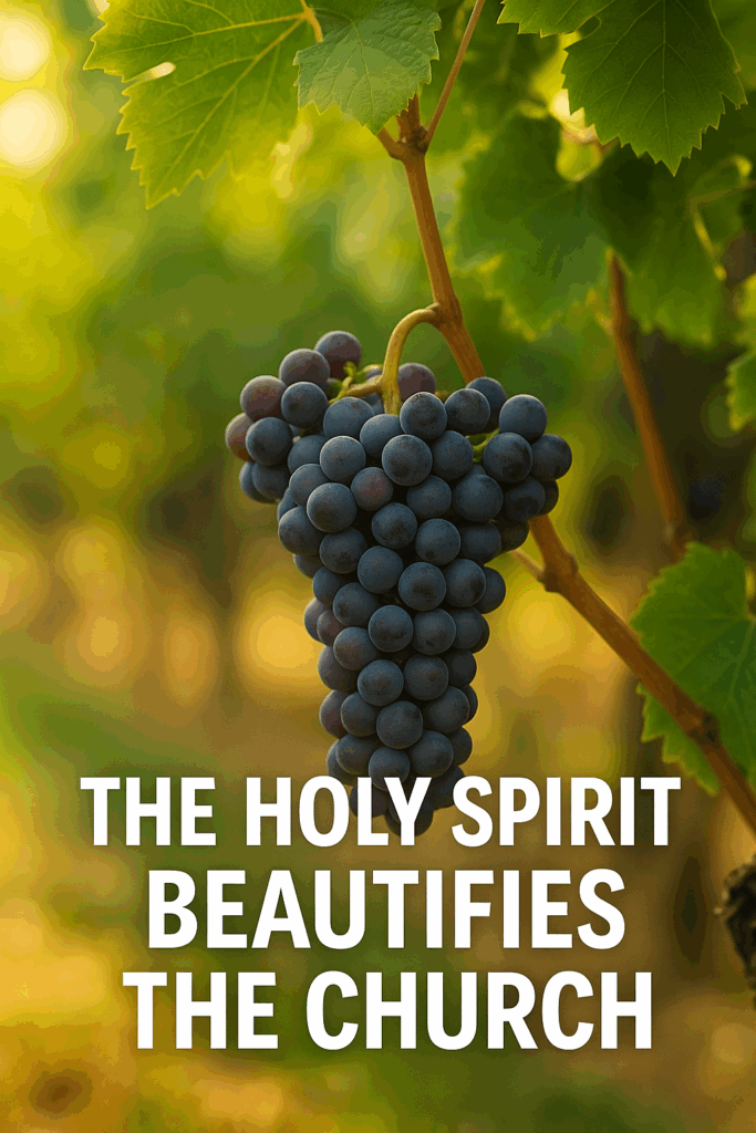 Cluster of ripe grapes on a vine in warm sunlight with bold white overlay text reading ‘The Holy Spirit Beautifies the Church.