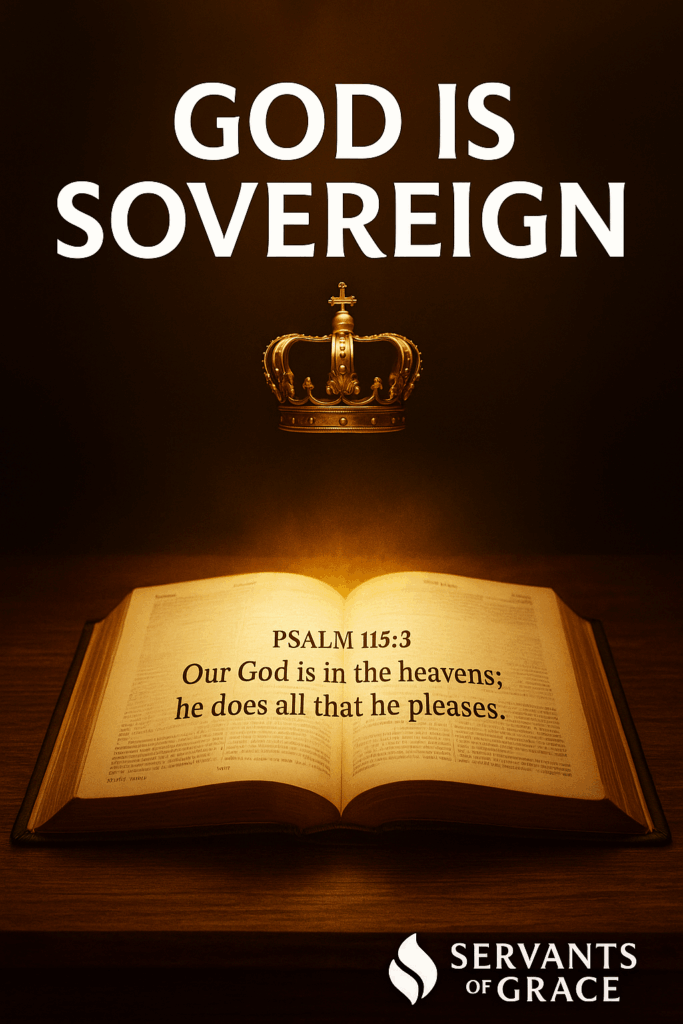An open Bible glowing with warm light, displaying Psalm 115:3: ‘Our God is in the heavens; he does all that he pleases.’ A golden crown hovers above the pages, with the words ‘God Is Sovereign’ overhead and the Servants of Grace logo at the bottom