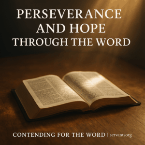 An open Bible illuminated by sunlight on a wooden table, symbolizing hope and endurance through God’s Word.