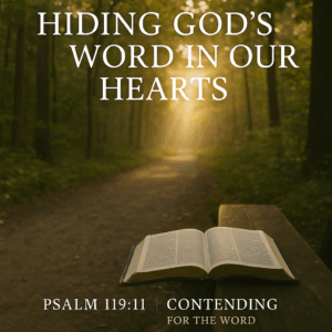 An open Bible resting on a bench along a sunlit forest path, representing walking daily with God’s Word hidden in the heart.