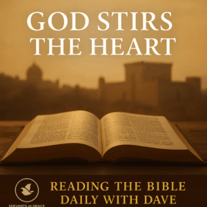 Open Bible on a wooden table with warm morning light shining across the pages, with a faint silhouette of ancient Persian architecture in the distance. Overlay text reads ‘God Stirs the Heart’ with Reading the Bible Daily with Dave branding.