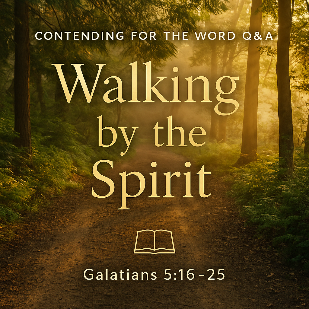 A warm forest path with golden sunlight streaming through the trees. Centered text reads “Walking by the Spirit” in large gold serif lettering. Above it is the subtitle “Contending for the Word Q&A” in small white text. Below is “Galatians 5:16–25” with a small outlined Bible symbol above it, creating a peaceful and reflective discipleship theme.