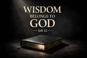 Closed Bible illuminated by a single beam of light, symbolizing that wisdom and power belong to God alone in Job chapter 12.