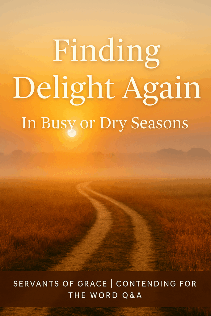 A sunrise over a golden field with a winding path and soft fog, symbolizing renewal, with text reading ‘Finding Delight Again, In Busy or Dry Seasons’ and a Servants of Grace brand bar.