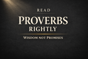 A dark charcoal YouTube thumbnail with a soft light beam in the top left corner and centered serif text reading “Read Proverbs Rightly” and “Wisdom Not Promises” in cream and muted gold tones.