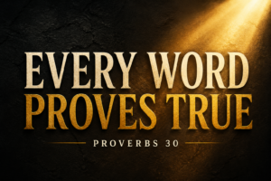 Dark charcoal and gold thumbnail with bold text reading “Every Word Proves True” and “Proverbs 30,” illuminated by a warm beam of light.