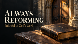 Always Reforming